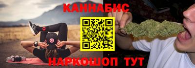 СК Гатчина