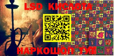кокс Гай