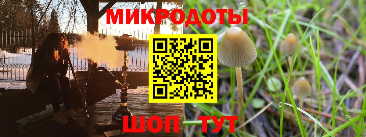 Псилоцибиновые грибы GOLDEN TEACHER  Псилоцибиновые грибы Cubensis  Нефтекумск  Вход с VPN 