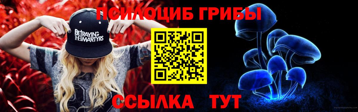 Псилоцибиновые грибы мицелий Нефтекумск